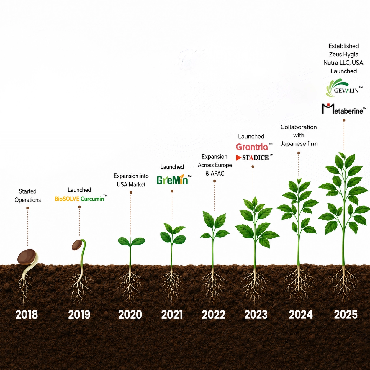 Science-backed ingredients_zeushygia