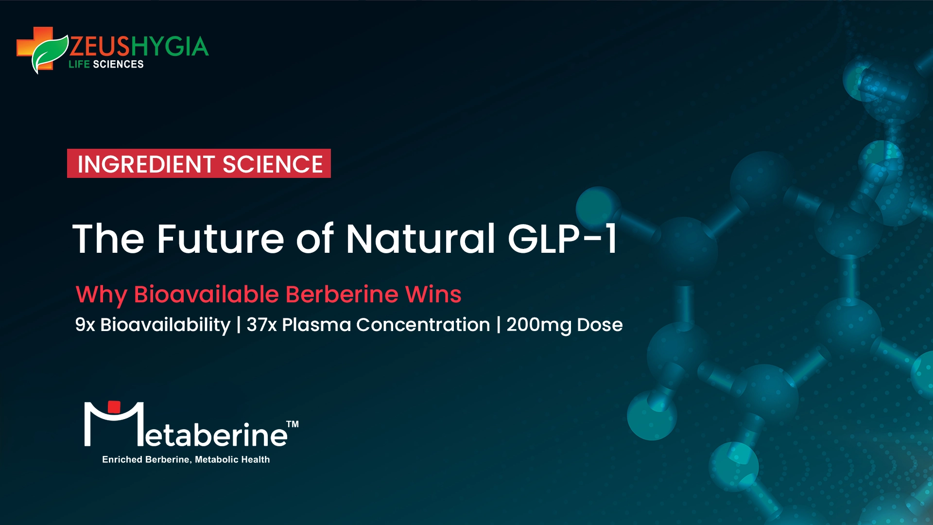 Bioavailable Berberine and GLP-1 metabolic support ingredient_Zeushygia