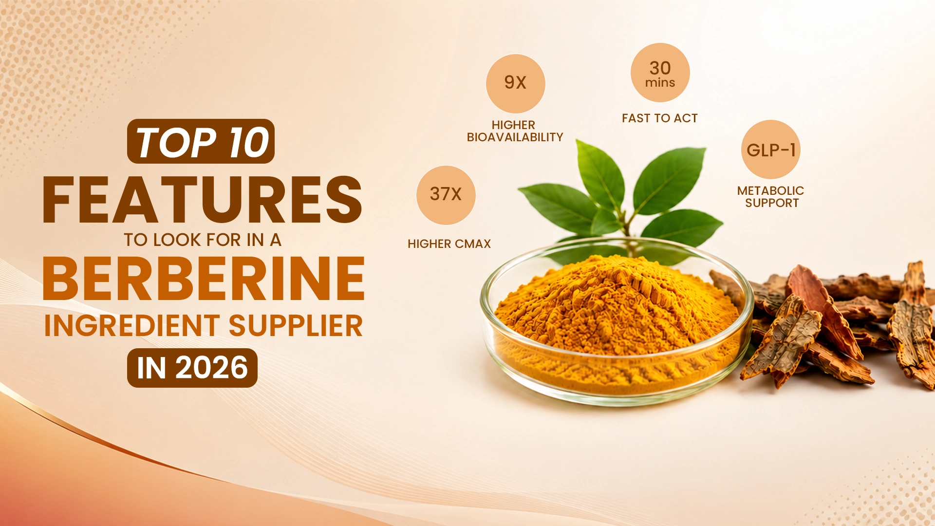 Top 10 Features to Look for in a Berberine Ingredient Supplier in 2026_zeushygia
